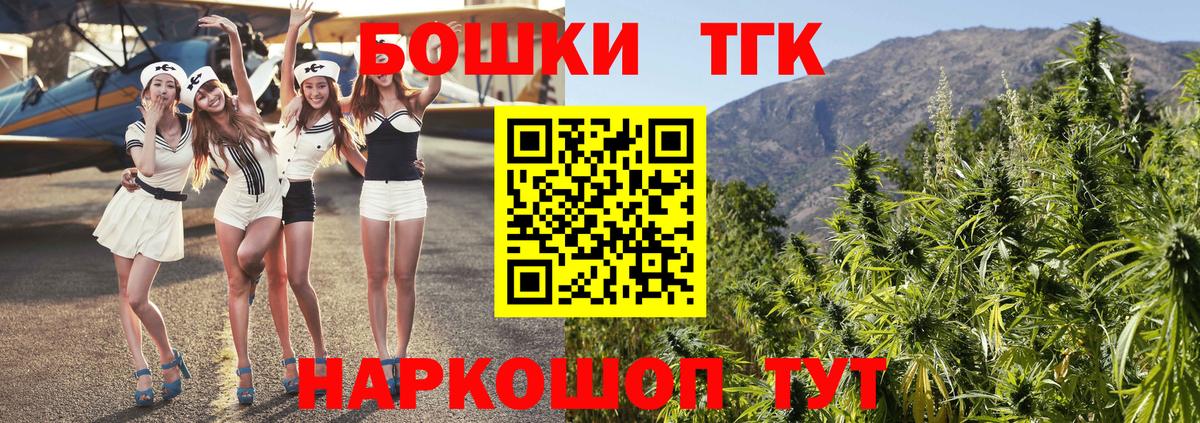 A PVP Асино